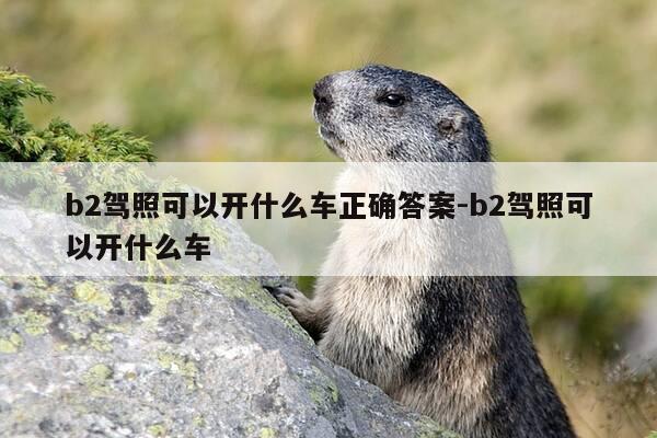 b2驾照可以开什么车正确答案-b2驾照可以开什么车-第1张图片-优惠活动网