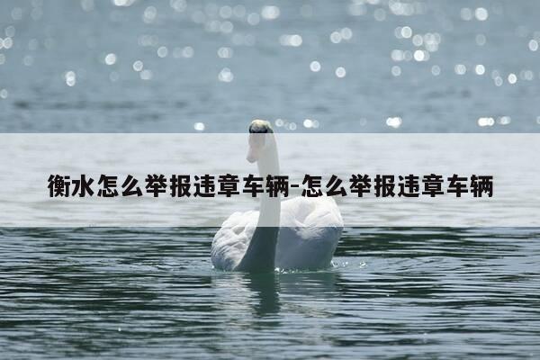 衡水怎么举报违章车辆-怎么举报违章车辆-第1张图片-优惠活动网 衡水怎么举报违章车辆-怎么举报违章车辆-第1张图片-优惠活动网