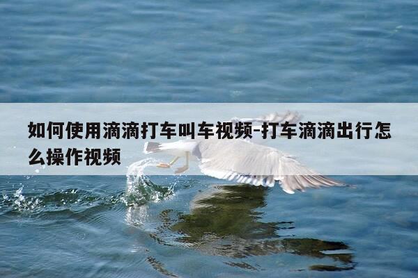如何使用滴滴打车叫车视频-打车滴滴出行怎么操作视频-第1张图片-优惠活动网