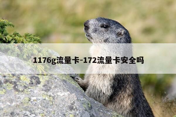 1176g流量卡-172流量卡安全吗-第1张图片-优惠活动网 1176g流量卡-172流量卡安全吗-第1张图片-优惠活动网