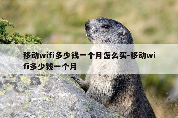 移动wifi多少钱一个月怎么买-移动wifi多少钱一个月-第1张图片-优惠活动网
