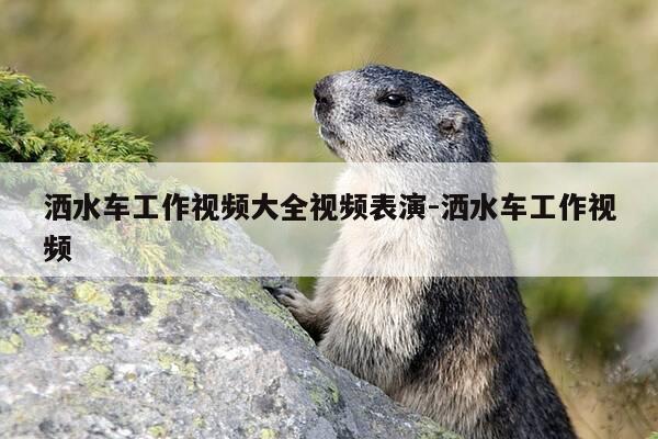 洒水车工作视频大全视频表演-洒水车工作视频-第1张图片-优惠活动网