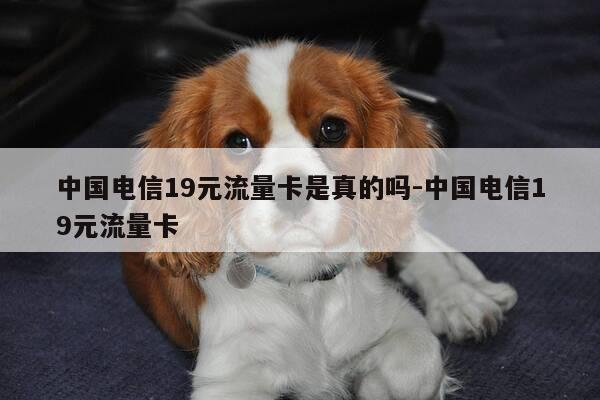 中国电信19元流量卡是真的吗-中国电信19元流量卡-第1张图片-优惠活动网