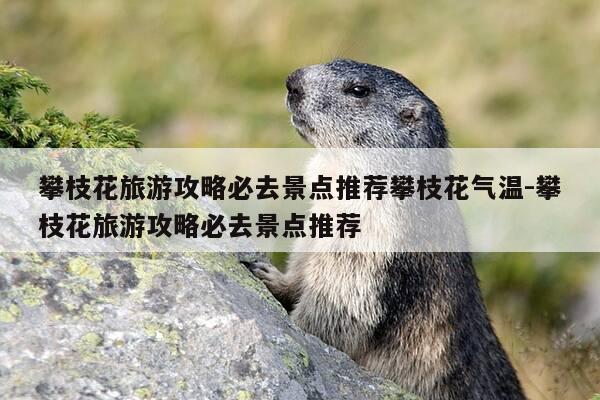 攀枝花旅游攻略必去景点推荐攀枝花气温-攀枝花旅游攻略必去景点推荐-第1张图片-优惠活动网