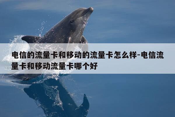电信的流量卡和移动的流量卡怎么样-电信流量卡和移动流量卡哪个好-第1张图片-优惠活动网