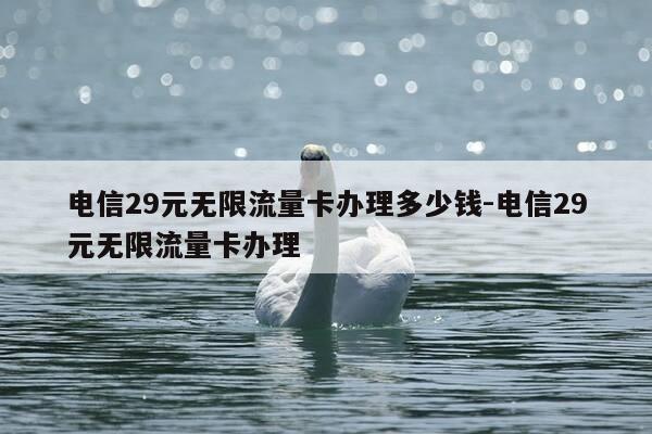 电信29元无限流量卡办理多少钱-电信29元无限流量卡办理-第1张图片-优惠活动网 电信29元无限流量卡办理多少钱-电信29元无限流量卡办理-第1张图片-优惠活动网