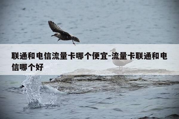 联通和电信流量卡哪个便宜-流量卡联通和电信哪个好-第1张图片-优惠活动网