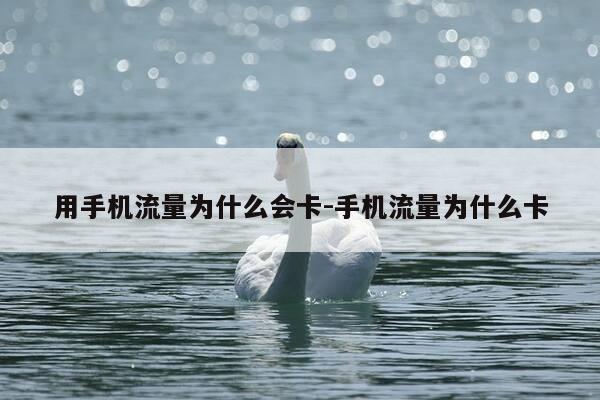 用手机流量为什么会卡-手机流量为什么卡-第1张图片-优惠活动网