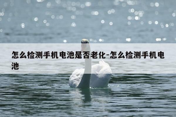 怎么检测手机电池是否老化-怎么检测手机电池-第1张图片-优惠活动网