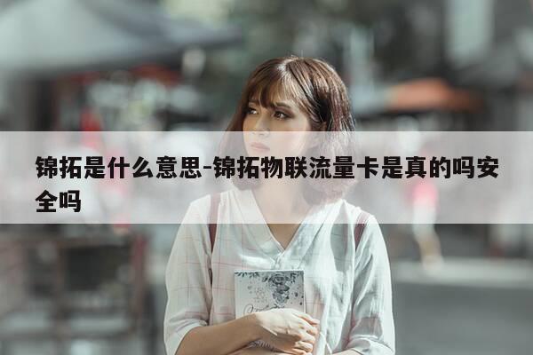 锦拓是什么意思-锦拓物联流量卡是真的吗安全吗-第1张图片-优惠活动网