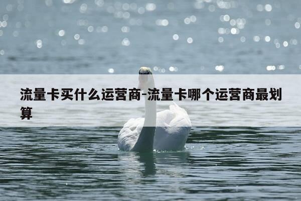 流量卡买什么运营商-流量卡哪个运营商最划算-第1张图片-优惠活动网