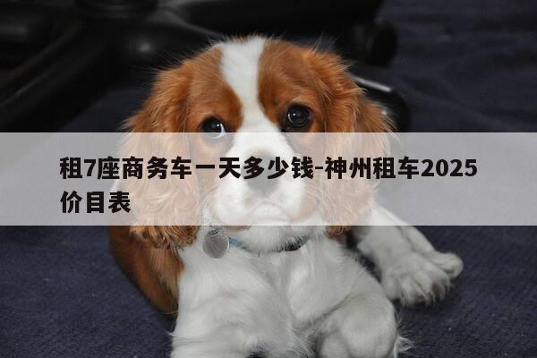 租7座商务车一天多少钱-神州租车2025价目表-第1张图片-优惠活动网