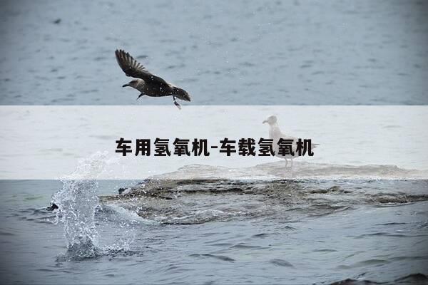 车用氢氧机-车载氢氧机-第1张图片-优惠活动网