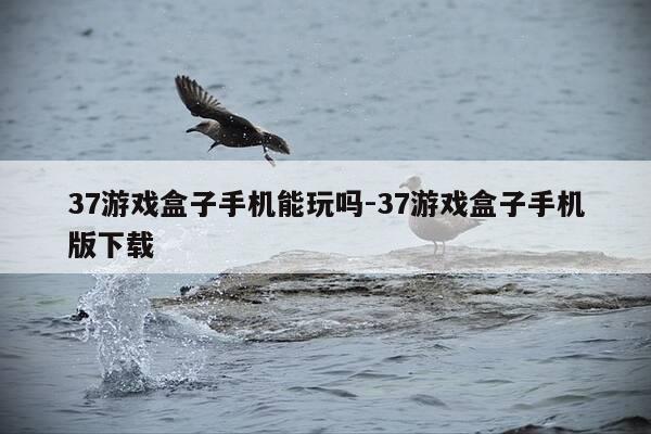 37游戏盒子手机能玩吗-37游戏盒子手机版下载-第1张图片-优惠活动网