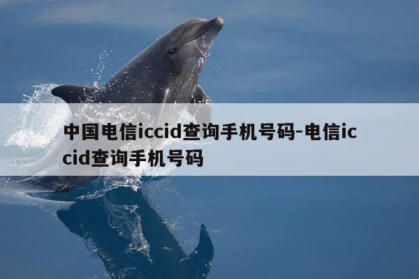 中国电信iccid查询手机号码-电信iccid查询手机号码-第1张图片-优惠活动网
