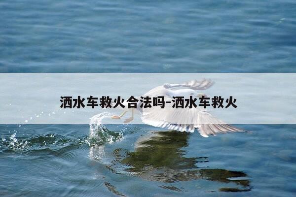 洒水车救火合法吗-洒水车救火-第1张图片-优惠活动网