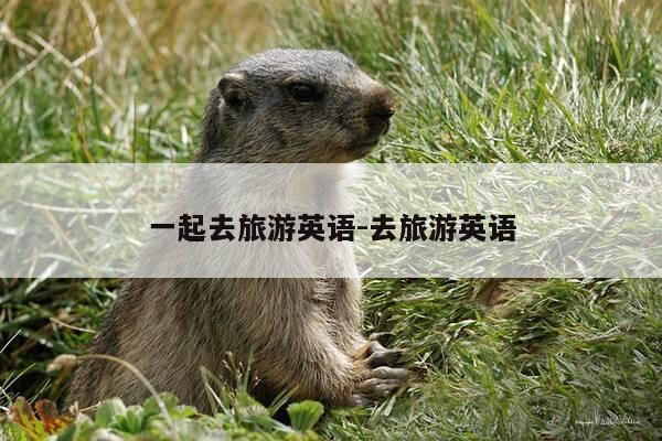 一起去旅游英语-去旅游英语-第1张图片-优惠活动网