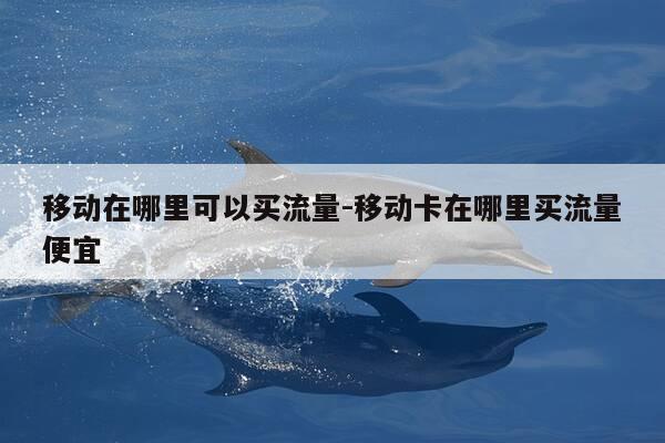 移动在哪里可以买流量-移动卡在哪里买流量便宜-第1张图片-优惠活动网 移动在哪里可以买流量-移动卡在哪里买流量便宜-第1张图片-优惠活动网
