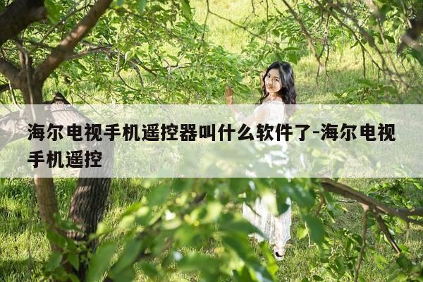 海尔电视手机遥控器叫什么软件了-海尔电视手机遥控-第1张图片-优惠活动网