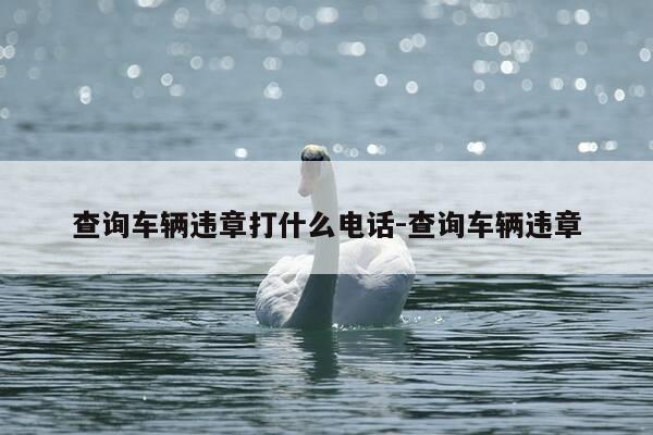 查询车辆违章打什么电话-查询车辆违章-第1张图片-优惠活动网