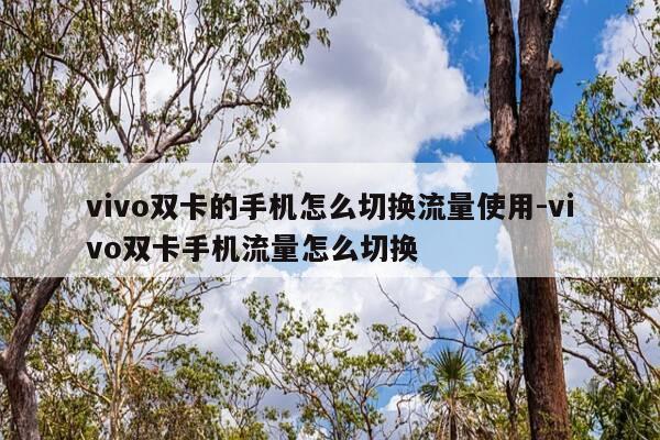 vivo双卡的手机怎么切换流量使用-vivo双卡手机流量怎么切换-第1张图片-优惠活动网