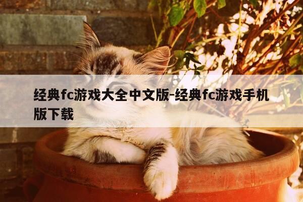 经典fc游戏大全中文版-经典fc游戏手机版下载-第1张图片-优惠活动网 经典fc游戏大全中文版-经典fc游戏手机版下载-第1张图片-优惠活动网