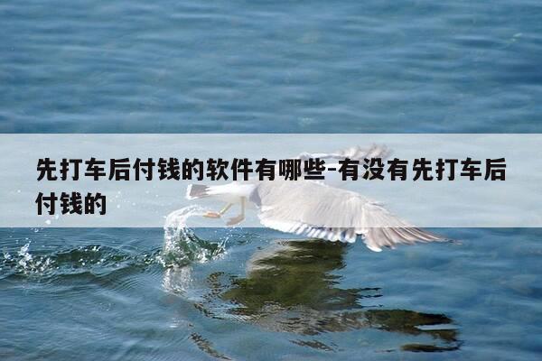 先打车后付钱的软件有哪些-有没有先打车后付钱的-第1张图片-优惠活动网