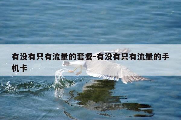 有没有只有流量的套餐-有没有只有流量的手机卡-第1张图片-优惠活动网