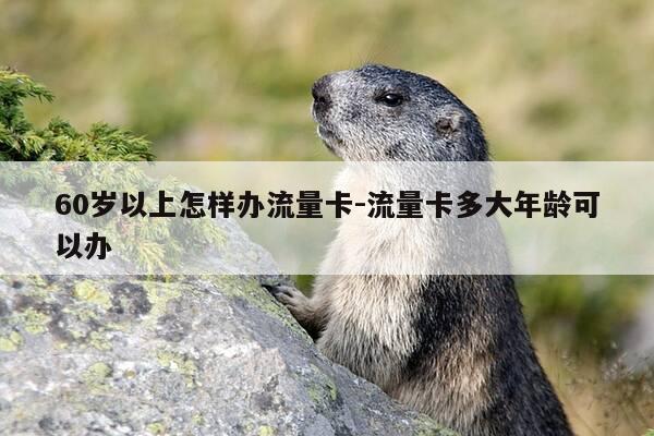 60岁以上怎样办流量卡-流量卡多大年龄可以办-第1张图片-优惠活动网