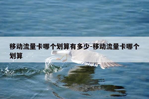 移动流量卡哪个划算有多少-移动流量卡哪个划算-第1张图片-优惠活动网 移动流量卡哪个划算有多少-移动流量卡哪个划算-第1张图片-优惠活动网