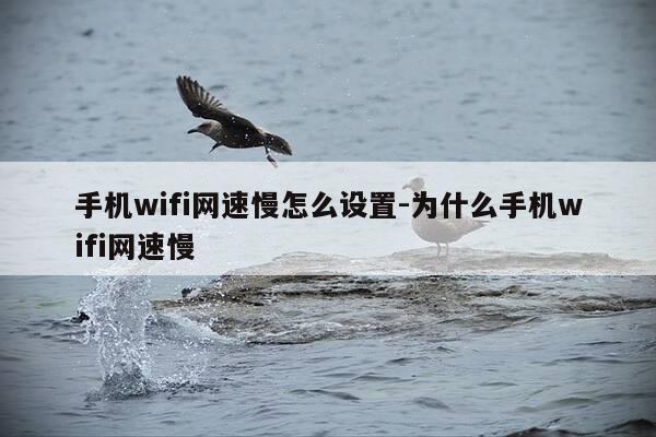 手机wifi网速慢怎么设置-为什么手机wifi网速慢-第1张图片-优惠活动网