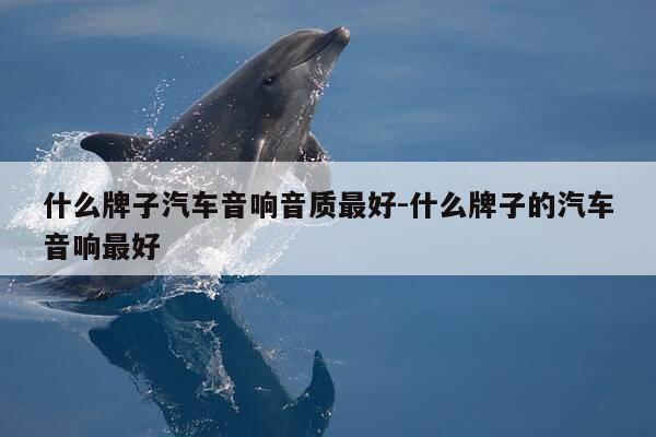 什么牌子汽车音响音质最好-什么牌子的汽车音响最好-第1张图片-优惠活动网