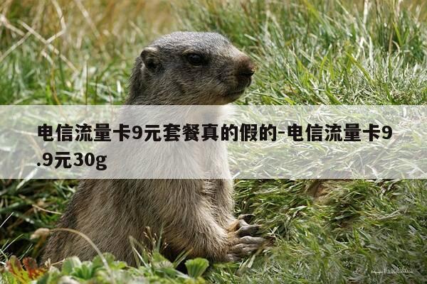 电信流量卡9元套餐真的假的-电信流量卡9.9元30g-第1张图片-优惠活动网