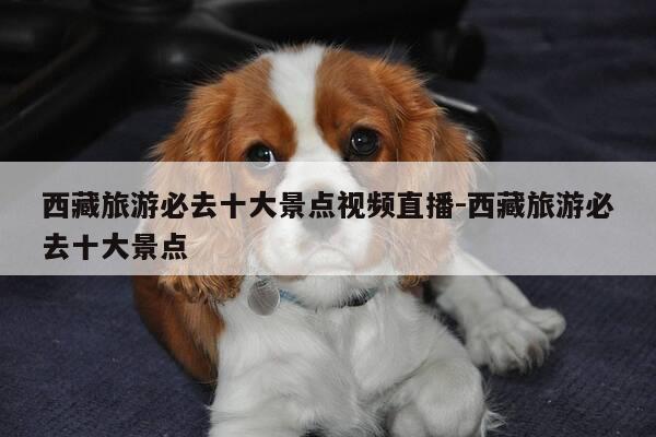 西藏旅游必去十大景点视频直播-西藏旅游必去十大景点-第1张图片-优惠活动网