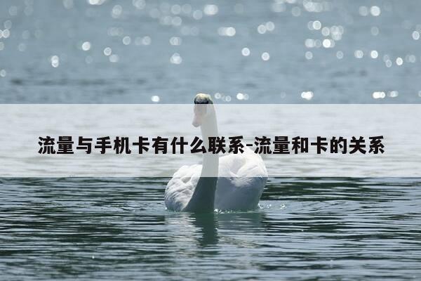 流量与手机卡有什么联系-流量和卡的关系-第1张图片-优惠活动网