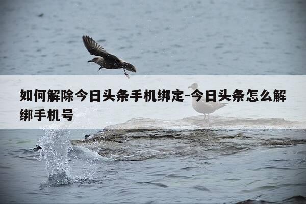 如何解除今日头条手机绑定-今日头条怎么解绑手机号-第1张图片-优惠活动网
