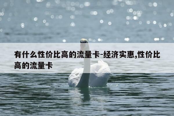 有什么性价比高的流量卡-经济实惠,性价比高的流量卡-第1张图片-优惠活动网