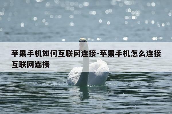 苹果手机如何互联网连接-苹果手机怎么连接互联网连接-第1张图片-优惠活动网