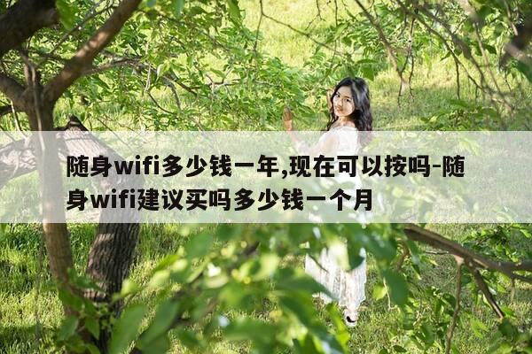 随身wifi多少钱一年,现在可以按吗-随身wifi建议买吗多少钱一个月-第1张图片-优惠活动网