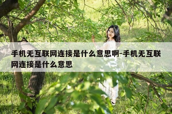 手机无互联网连接是什么意思啊-手机无互联网连接是什么意思-第1张图片-优惠活动网