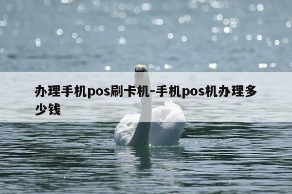 办理手机pos刷卡机-手机pos机办理多少钱-第1张图片-优惠活动网