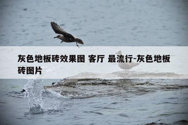 灰色地板砖效果图 客厅 最流行-灰色地板砖图片-第1张图片-优惠活动网