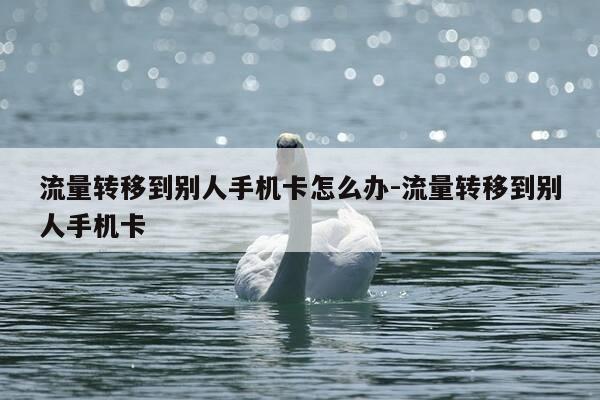 流量转移到别人手机卡怎么办-流量转移到别人手机卡-第1张图片-优惠活动网