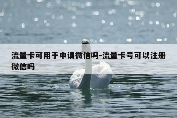 流量卡可用于申请微信吗-流量卡号可以注册微信吗-第1张图片-优惠活动网