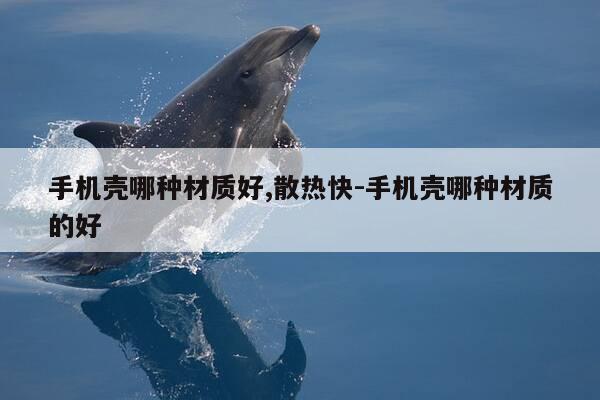 手机壳哪种材质好,散热快-手机壳哪种材质的好-第1张图片-优惠活动网 手机壳哪种材质好,散热快-手机壳哪种材质的好-第1张图片-优惠活动网