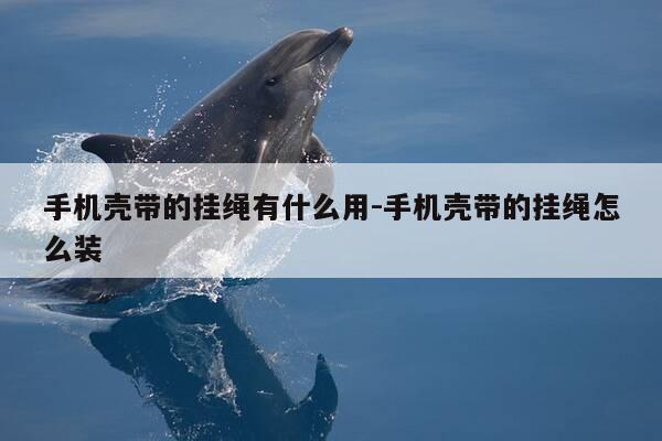 手机壳带的挂绳有什么用-手机壳带的挂绳怎么装-第1张图片-优惠活动网 手机壳带的挂绳有什么用-手机壳带的挂绳怎么装-第1张图片-优惠活动网