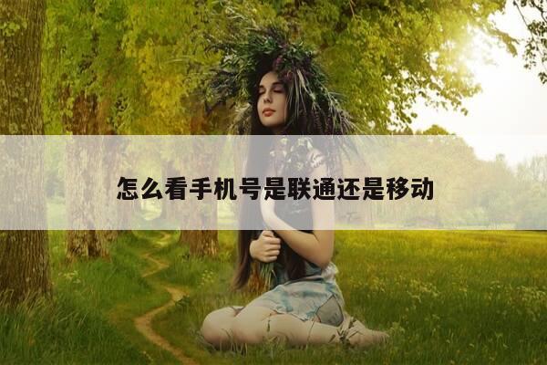 怎么看手机号是联通还是移动-第1张图片-优惠活动网 怎么看手机号是联通还是移动-第1张图片-优惠活动网