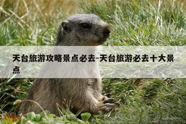 天台旅游攻略景点必去-天台旅游必去十大景点-第1张图片-优惠活动网