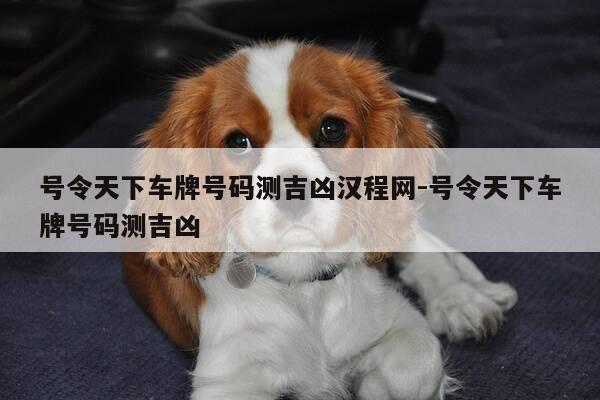 号令天下车牌号码测吉凶汉程网-号令天下车牌号码测吉凶-第1张图片-优惠活动网