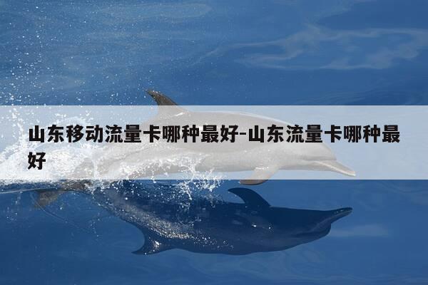 山东移动流量卡哪种最好-山东流量卡哪种最好-第1张图片-优惠活动网
